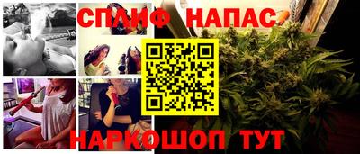 ГАЛЛЮЦИНОГЕННЫЕ ГРИБЫ Будённовск