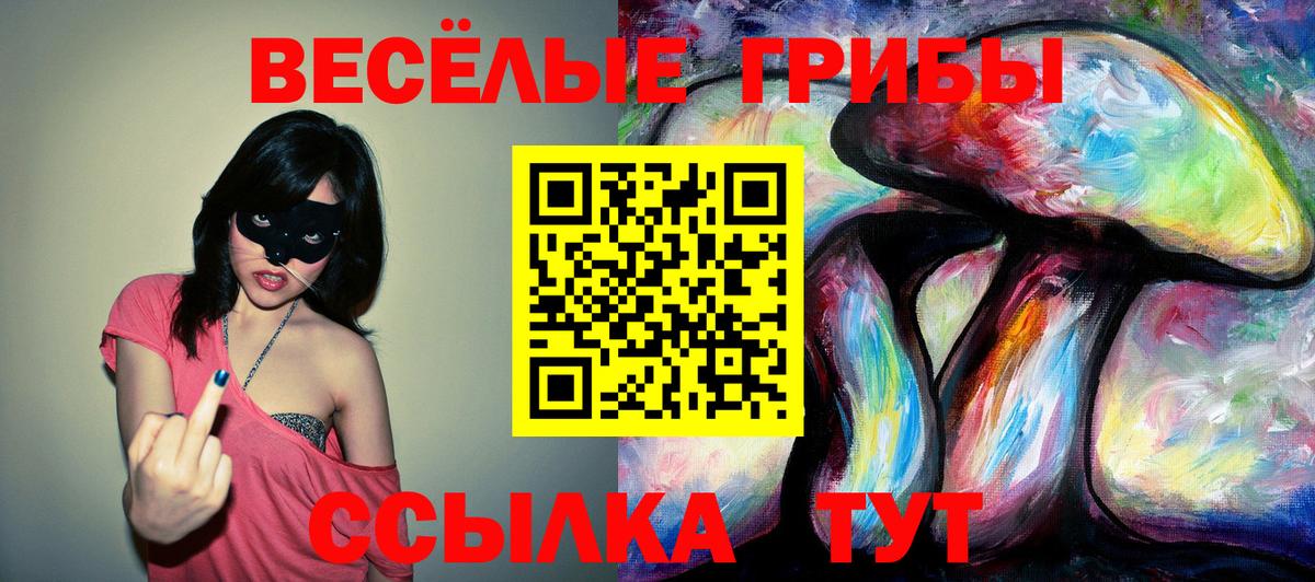 как найти   Псилоцибиновые грибы GOLDEN TEACHER  Вход с VPN  Псилоцибиновые грибы MAGIC MUSHROOMS  Острогожск 
